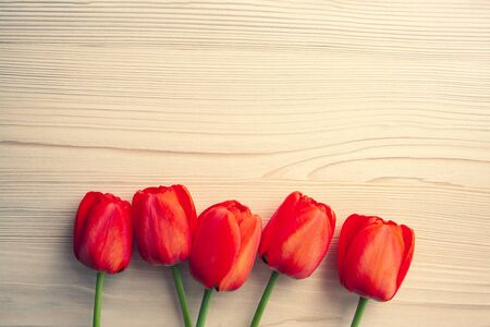 Beautiful red tulips top view on wooden bright background with copyspace. Celebration, postcard template for mother day, women day, valentine, tonedの写真素材