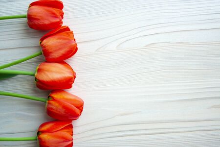 Beautiful red tulips top view on wooden bright background with copyspace. Celebration, postcard template for mother day, women day, valentine, tonedの写真素材