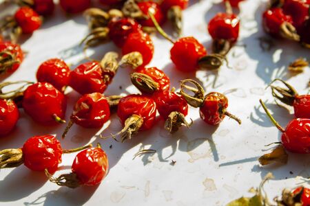 Many rose hips are dried in the sun macro close up. Healthy natural vitamin berries for tea. Natural medical antioxidantの写真素材