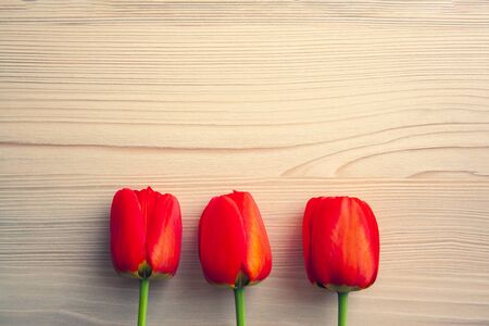 Beautiful red tulips top view on wooden bright background with copyspace. Celebration, postcard template for mother day, women day, valentine, tonedの写真素材