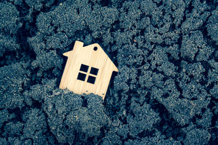 Miniature wooden toy house standingの写真素材