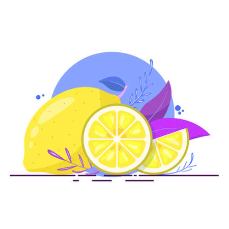 Lemon slices with leaves. Whole lime and cut piecesのイラスト素材