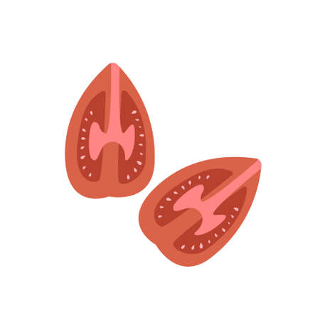 Tomato slice vector illustration. Love apple isolatedのイラスト素材
