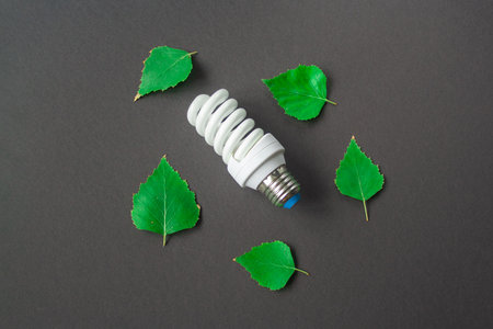 Light bulb with green leaves on black backgroundの写真素材