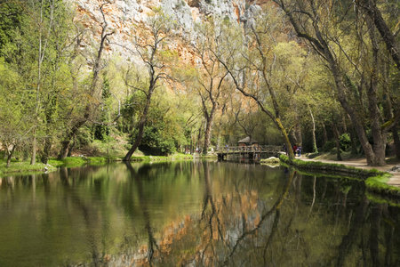 reflected trees on a lake in saragossa aragon spainの写真素材