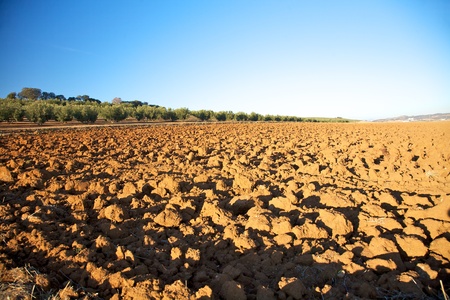 fields at Archidona in Andalucia Spainの写真素材