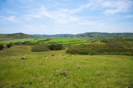 green fields at Menorca Island in Spainの写真素材