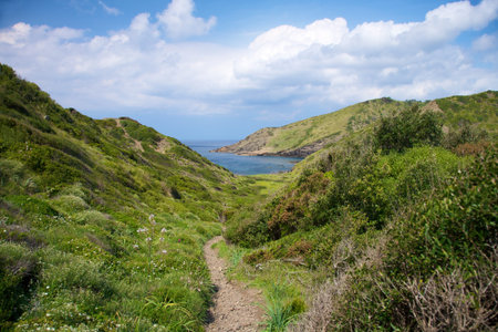 green track at Menorca island in Spainの写真素材