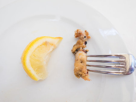 silver fork clicking little squid breaded and fried, typical food of Andalusia in Spain Europe with...