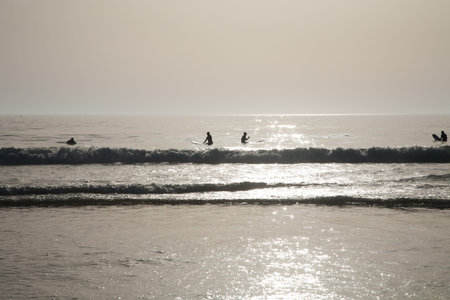 backlighting calm ocean or sea with four surfers on surfboard waiting waves at beach in Cadiz Spain...