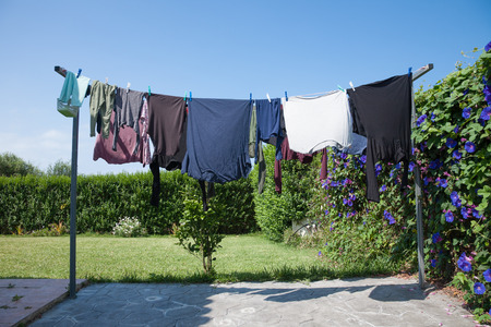 exterior clothesline with colorful shirts adult and baby clothes in green plants garden and blue skyの写真素材