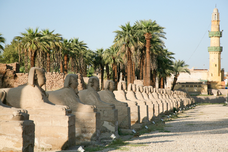 landmark sculpture of row sphinx statues human-headed with pharaoh Nekhtanebo, in avenue monument between Luxor and Karnak temples, in Thebes ancient city, Egypt, Africaの写真素材