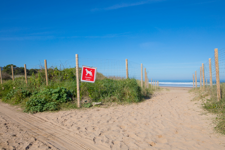 red square sign of forbidden dogs on a wire fence and wooden poles, in the access to Vega Beach, in Ribadesella, Asturias, Spain, Europeの写真素材