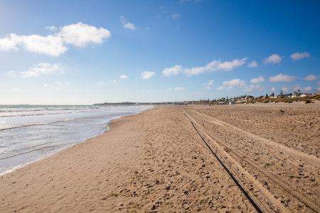 seashore of La Barrosa Beach in Chiclana de la Frontera, one of the most famous and large beaches in...