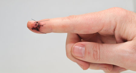 Pointing the wayの写真素材