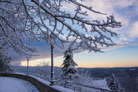 The first snowfallの写真素材