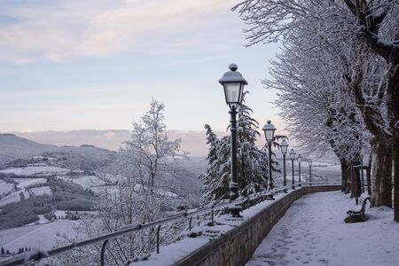 In whiteの写真素材