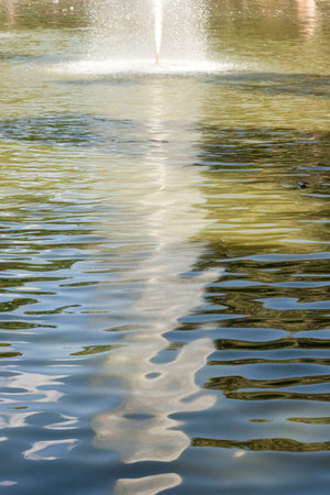 reflections of trees in the pondの写真素材