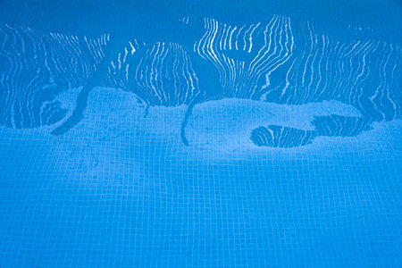 water reflections in the pool