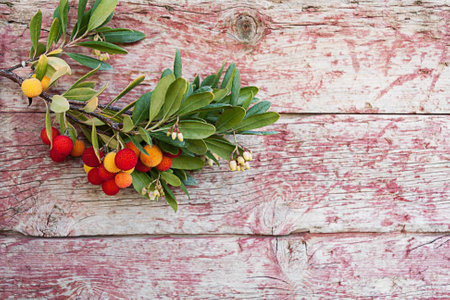 Arbutus branch with fruits on a background of old paint and worn boardsの写真素材