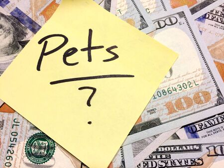 American cash money and yellow sticky note with text Pets with question mark in black color aerial viewの写真素材
