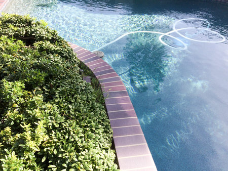 Backyard swimmimg pool modern design and landscaping on sunny day