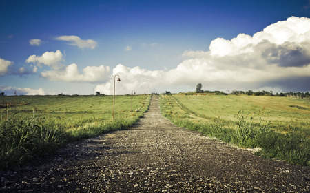Green field Landscape with country roadの写真素材