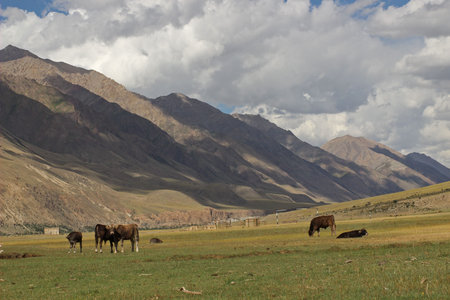 Kyrgyzstan - Central Tien Shan regionの写真素材