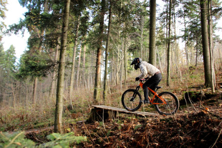 A biker riding a mountain bike in a forest 