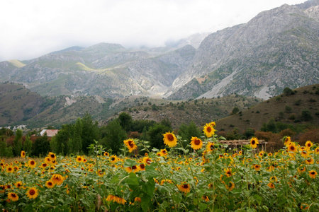 Mountains close to Arslanbob, south of Kyrgyzstanの写真素材
