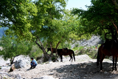 Kyrgyzstan Nature Landscape in Arslanbobのeditorial素材