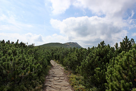 Peak of the Babia Mountain a massif situated in the Western Beskidy Mountains, Poland