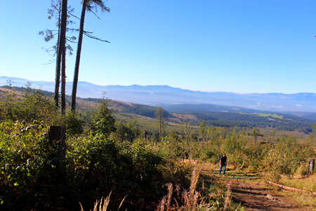 road to Krivan 2494 mnm - High Tatrasのeditorial素材