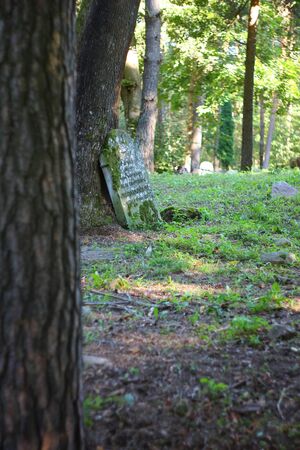 Muslim cemetery, Kruszyniany, Podlasie, Polandのeditorial素材