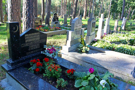 Muslim cemetery, Kruszyniany, Podlasie, Polandのeditorial素材