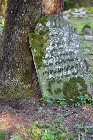 Muslim cemetery, Kruszyniany, Podlasie, Polandのeditorial素材
