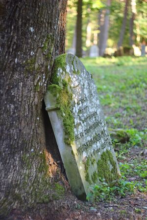 Muslim cemetery, Kruszyniany, Podlasie, Polandのeditorial素材