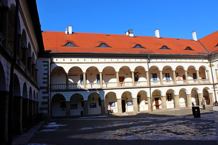 Renaissance castle in Niepolomice, Polandのeditorial素材