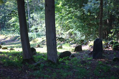 Muslim cemetery, Kruszyniany, Podlasie, Polandのeditorial素材