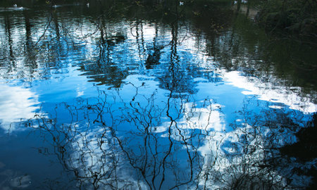 Irish Lakes
