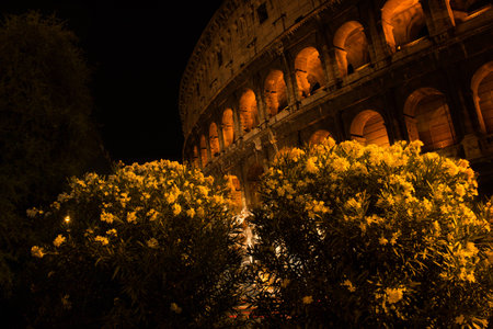 Park Coliseumの写真素材