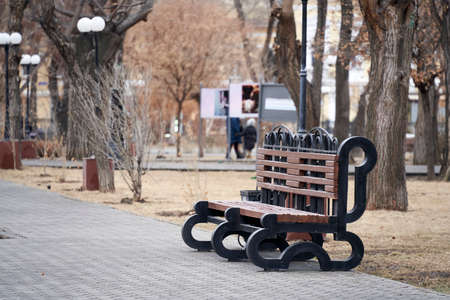 walk in the park in cloudy weatherの写真素材