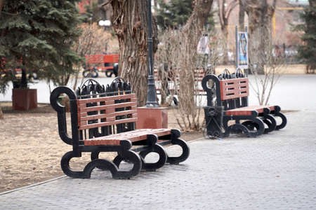 walk in the park in cloudy weatherの写真素材