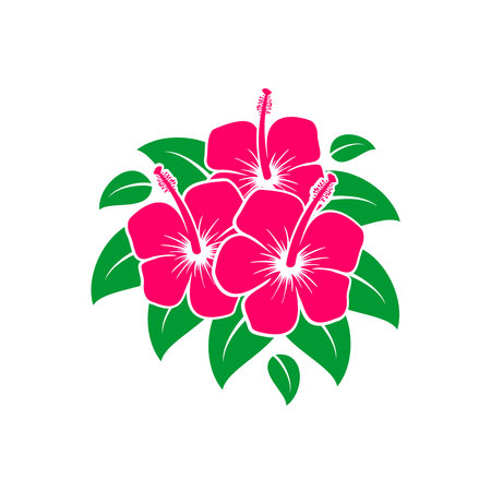 Three pink hibiscus flower vectorのイラスト素材