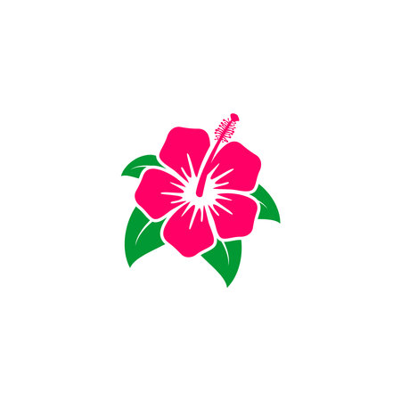 A red hibiscus flower and green leafのイラスト素材