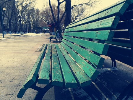 Wooden bench in a parkの写真素材