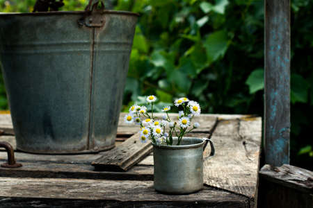 Field flowers in an old vintage mugの写真素材