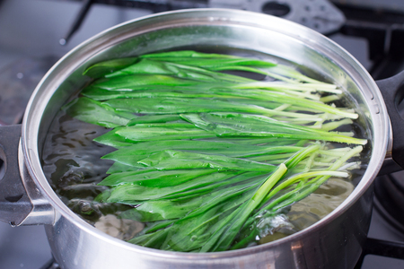 Ramson or wild garlic leaves blanched in a saucepanの写真素材