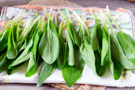 Wild garlic on a wooden board on a tableの写真素材