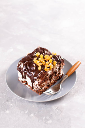 Dessert, sliced homemade cake with chocolate biscuit, raisins and cream of sour cream and whipped...